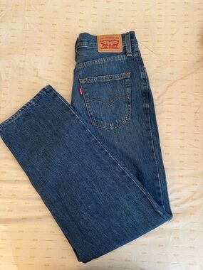 Levi's 94 Baggy